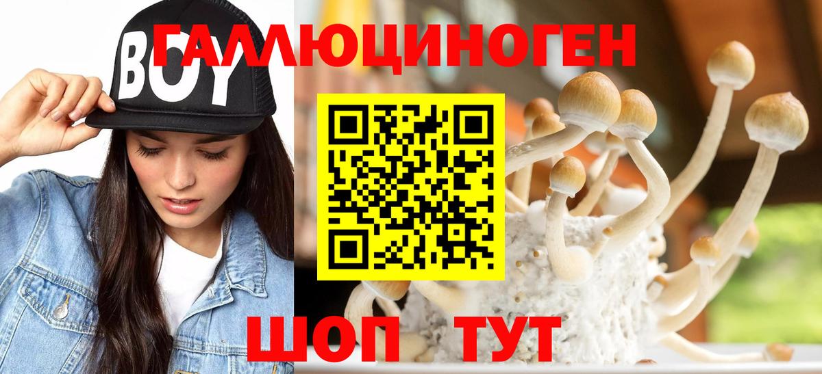 Алушта  Галлюциногенные грибы Magic Shrooms  Галлюциногенные грибы Psilocybe  Вход с VPN 